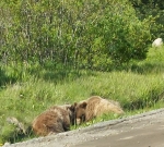 Scenery Seen by the Guide During a Shopping Trip in Bella Coola