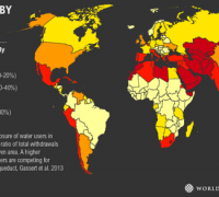 Why Wasting Water Is Even Worse for the Environment Than You Think
