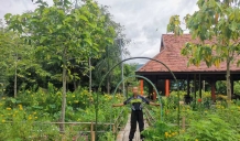 Malaysian Friend Alex Visits Thailand's Home of Lifechanyuan