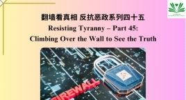 Resisting Tyranny – Part 45: Climbing Over the Wall to See the Truth