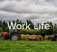 Newton Dee Camphill Community