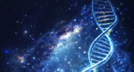 Is Human DNA the Original Artificial Intelligence? The Code That Runs All Life