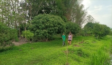 Welcome Joe, Phoebe, and Malena to Experience the Life in Thailand Branch