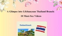 A Glimpse into Lifchanyuan Thailand Branch: 10 Must-See Videos