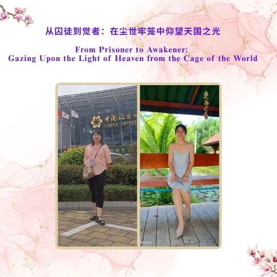 DJI Care丨大疆创新正式推出一年两次换新服务！