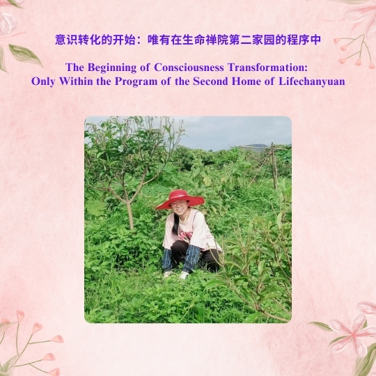 DJI Care丨大疆创新正式推出一年两次换新服务！