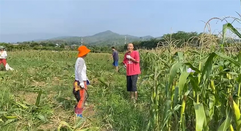 58.jpg