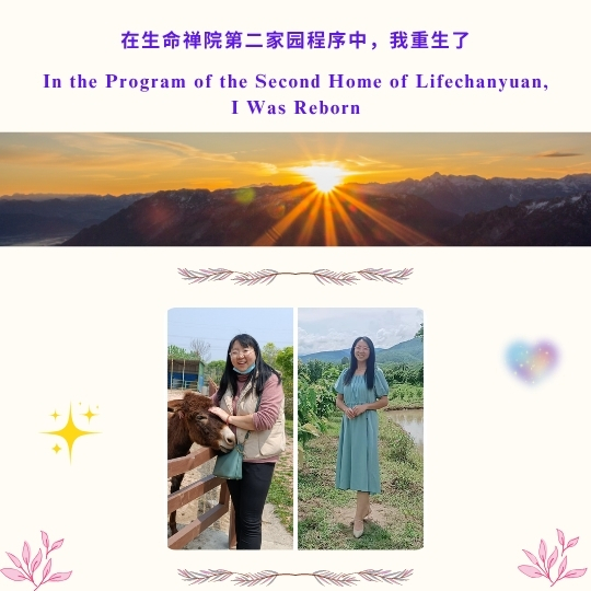 DJI Care丨大疆创新正式推出一年两次换新服务！