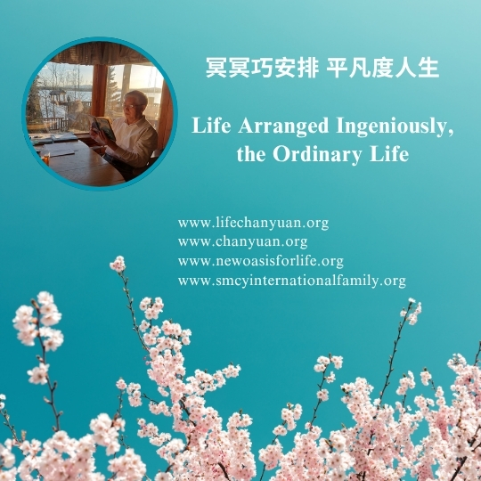 DJI Care丨大疆创新正式推出一年两次换新服务！