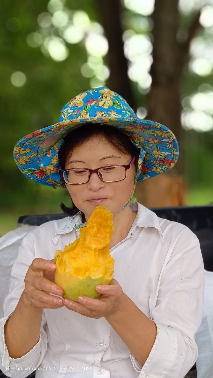 96.jpg