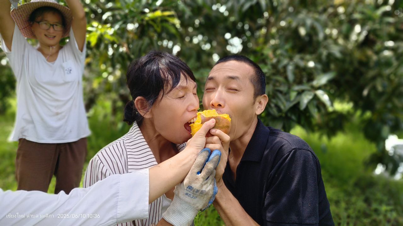 98.jpg