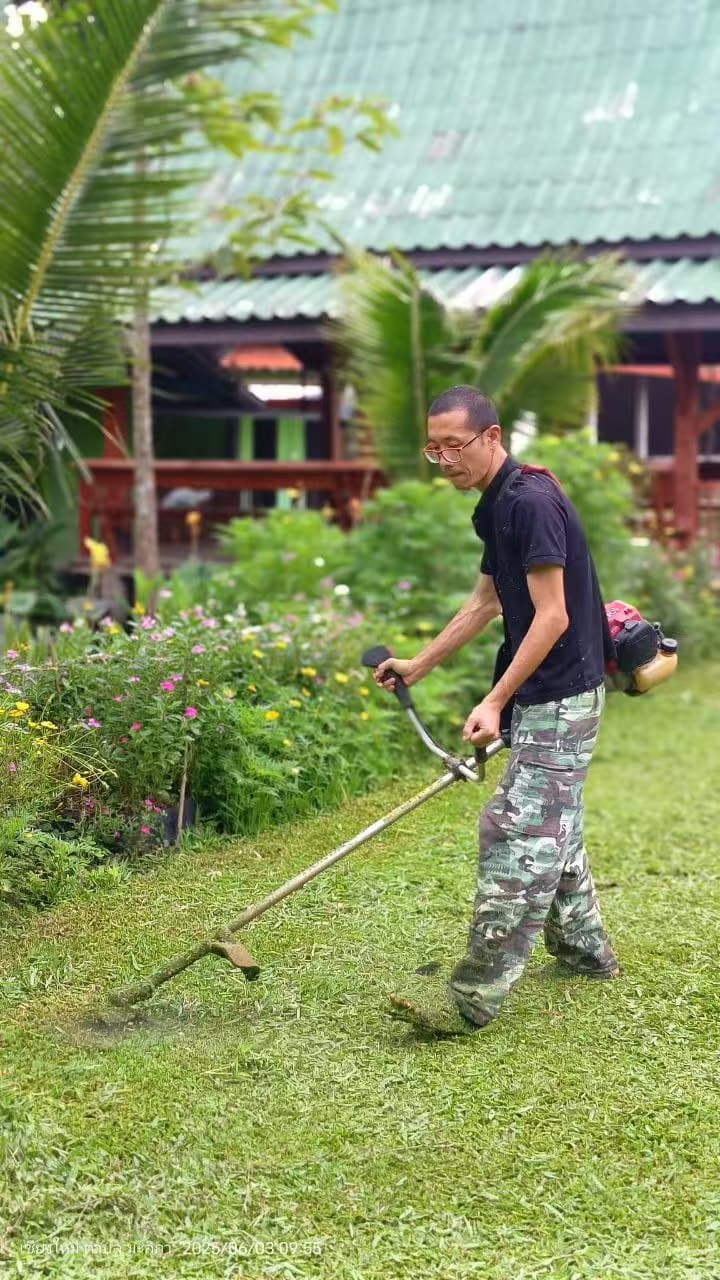 87.jpg