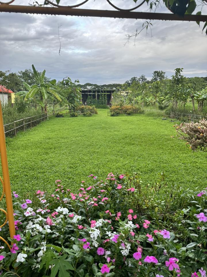 r12.jpg