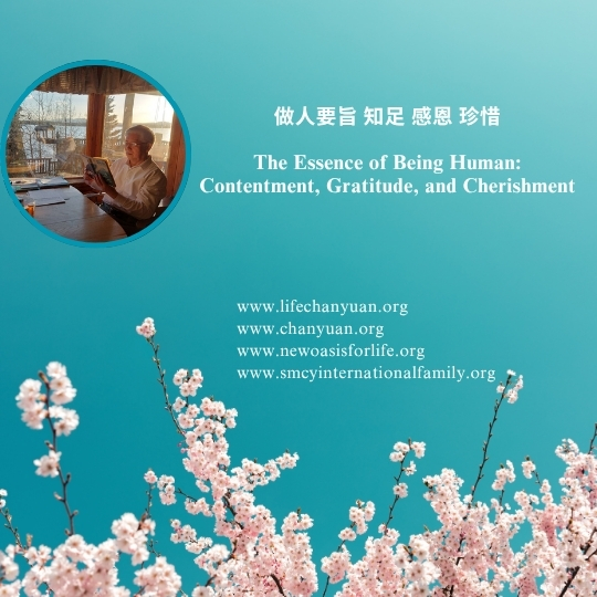 DJI Care丨大疆创新正式推出一年两次换新服务！