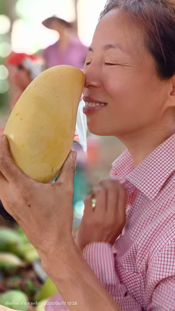 84.jpg