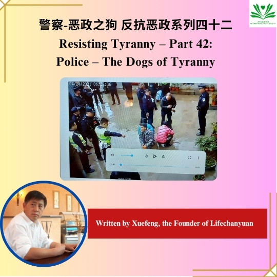 DJI Care丨大疆创新正式推出一年两次换新服务！