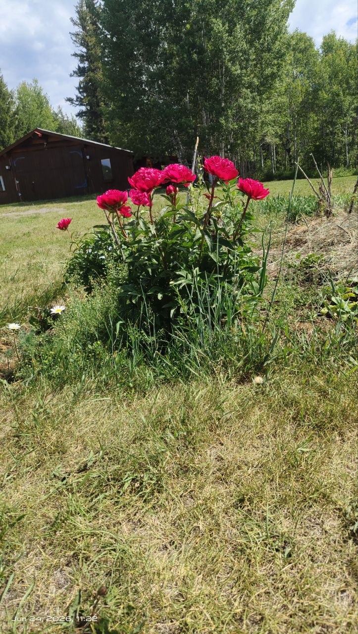 142942f5u25rnznznidrav.jpg