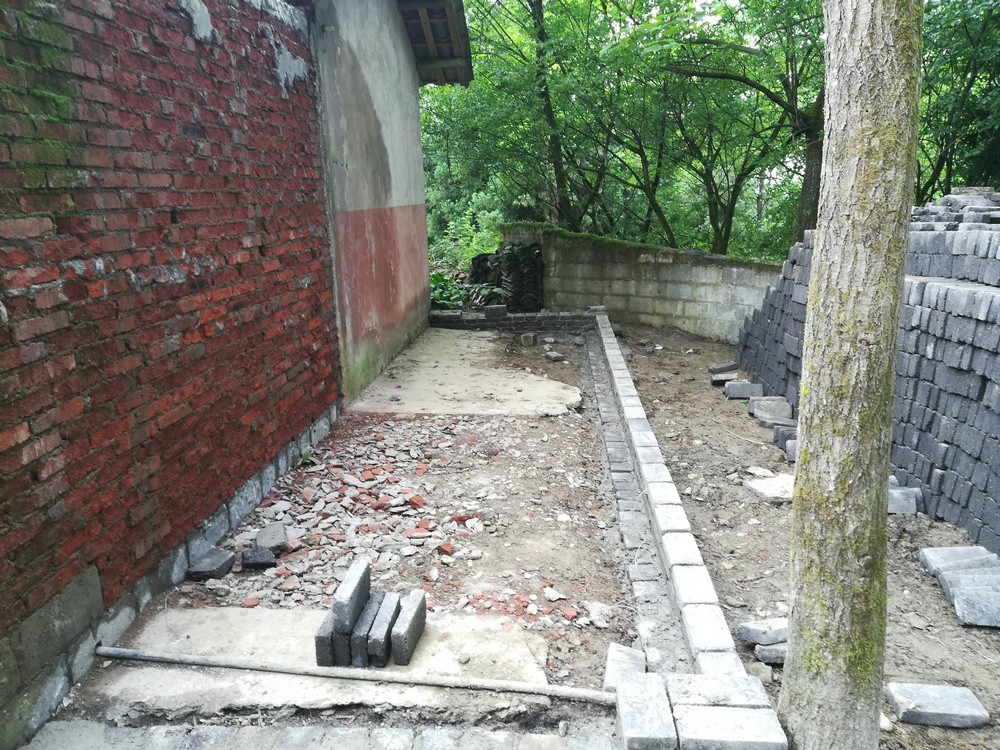 111535wb5qbadd55zcuzkk.jpg